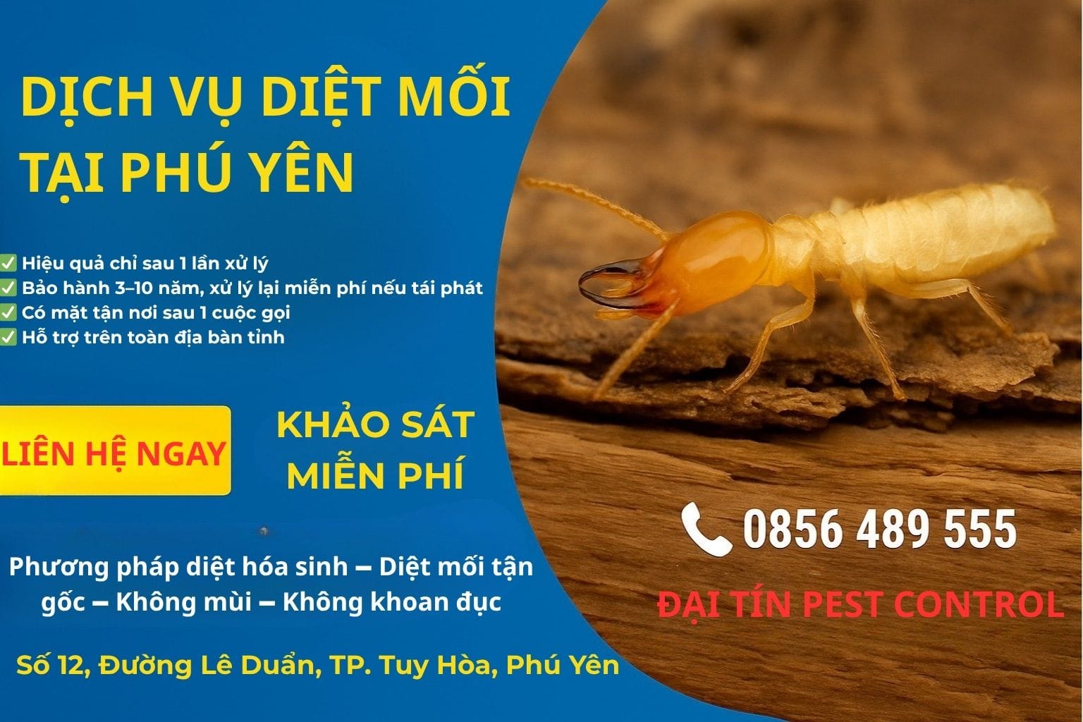 Xử lý mối triệt để cùng dịch vụ diệt mối tại Phú Yên uy tín