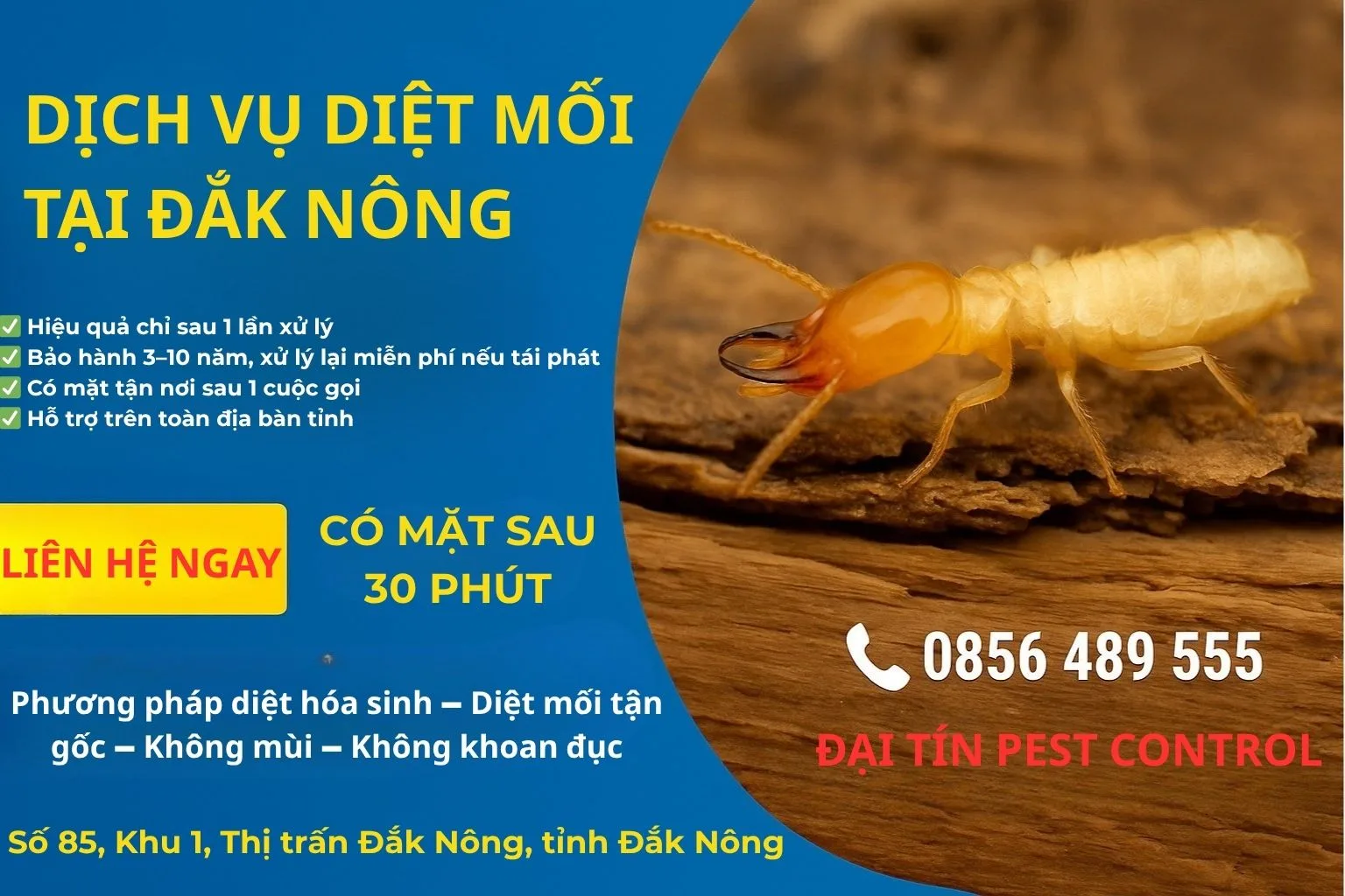 Dịch vụ diệt mối tại Đắk Nông