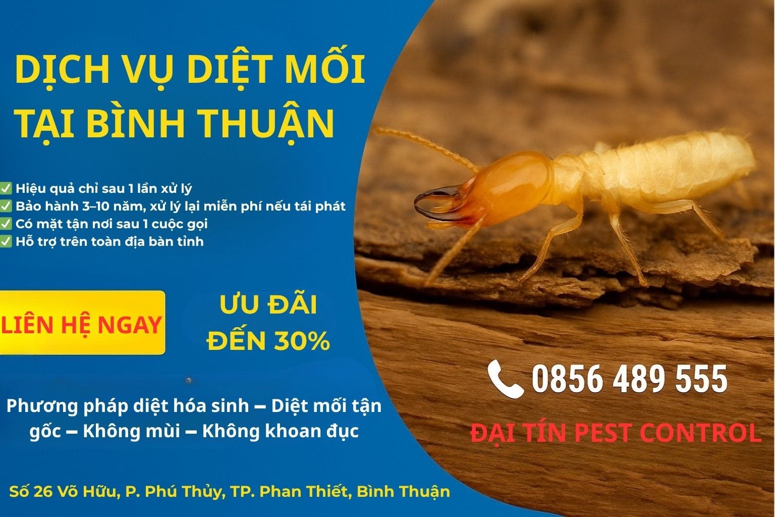 Dịch vụ diệt mối tại Bình Thuận – Nhanh chóng, hiệu quả, giá hợp lý!