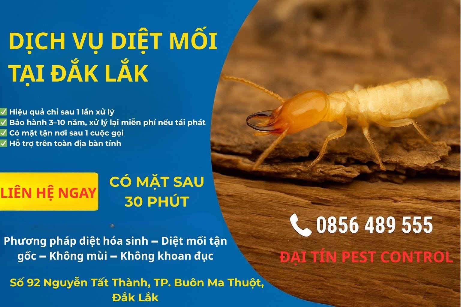 Dịch vụ diệt mối tại Đắk Lắk