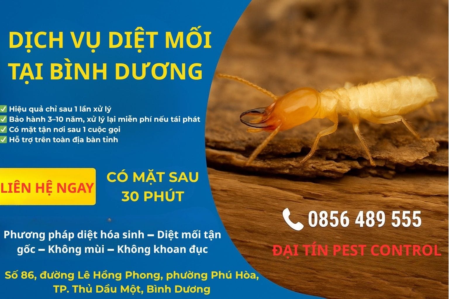 Dịch vụ diệt mối tại Bình Dương