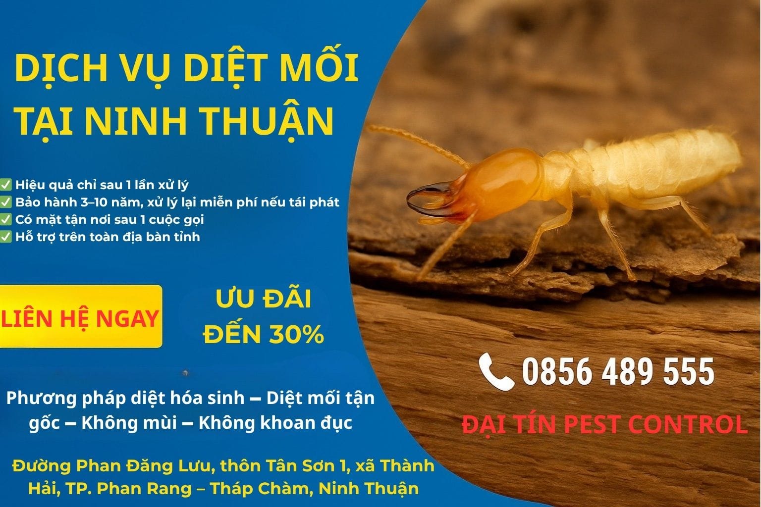 Dịch vụ diệt mối tại Ninh Thuận