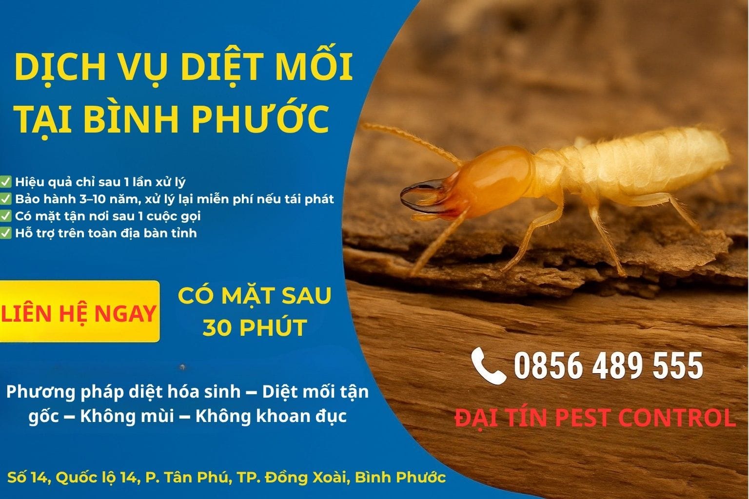 Dịch vụ diệt mối tại Bình Phước