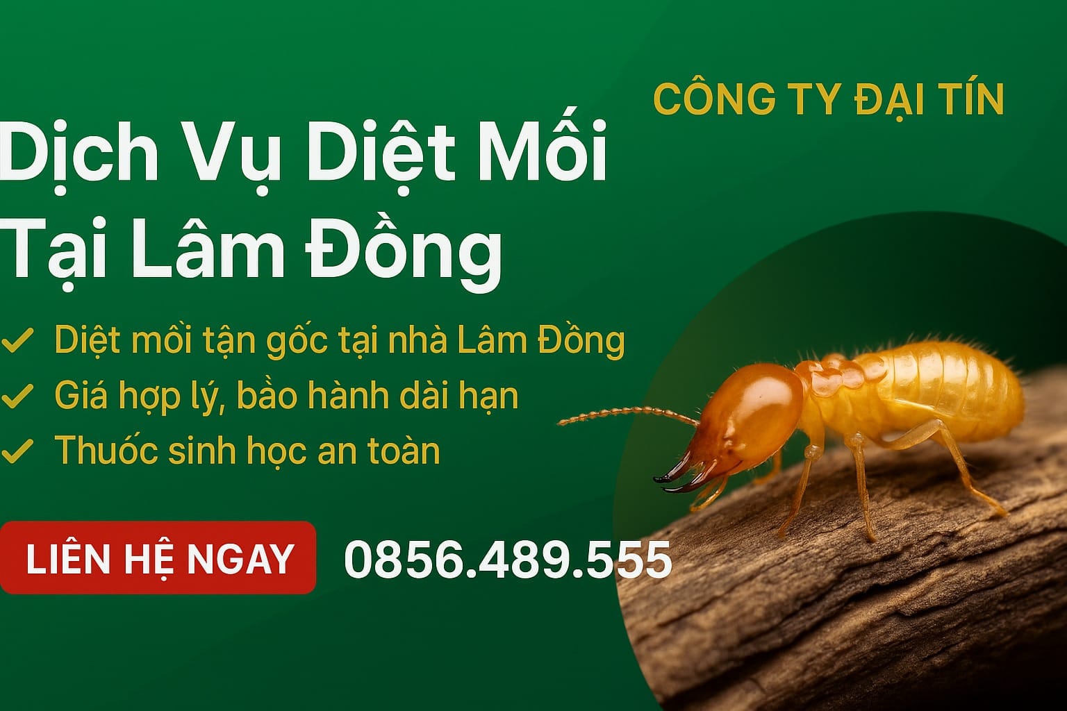 Đại Tín – Dịch vụ diệt mối tại Lâm Đồng đáng tin cậy nhất hiện nay