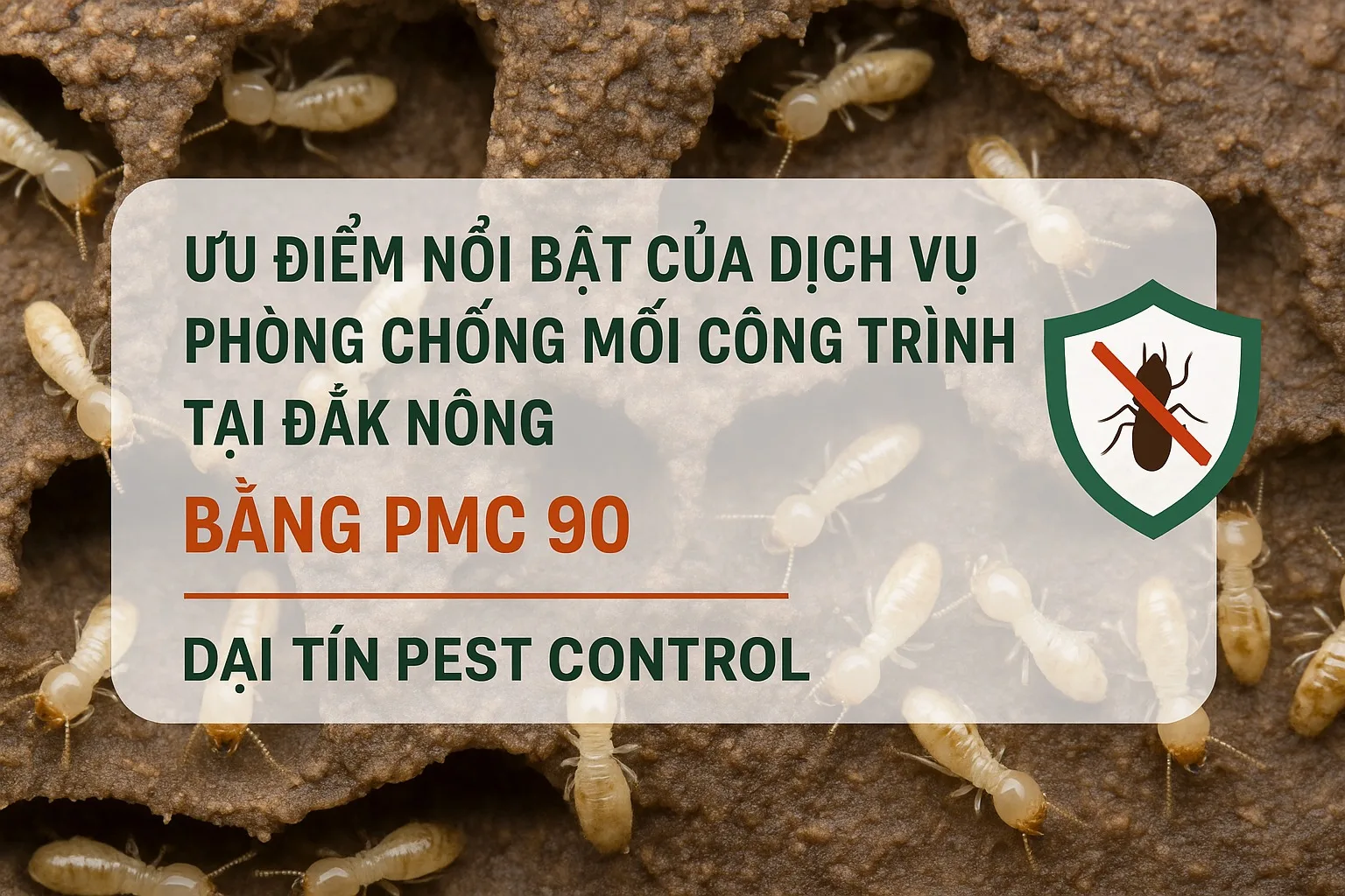 Dịch vụ diệt mối tại Đắk Nông - 0976 226 456