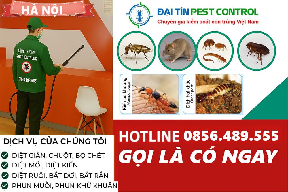 công ty diệt côn trùng giá rẻ Hà Nội