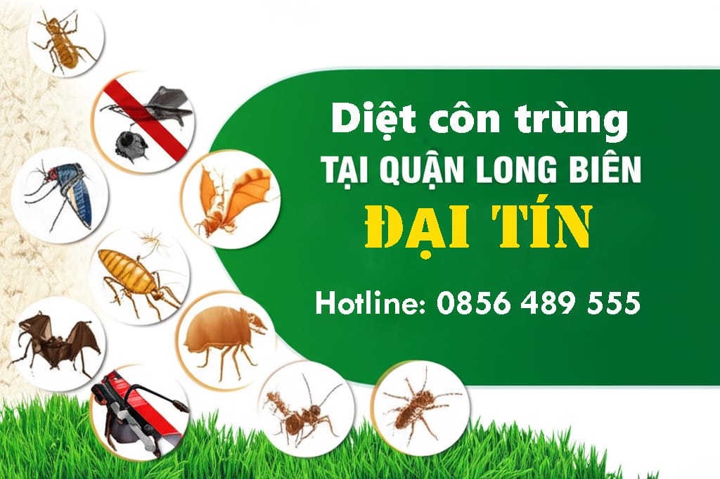 Dịch vụ diệt côn trùng tại quận Long Biên ❤️ ❤️ ❤️ chỉ từ 1k/m2