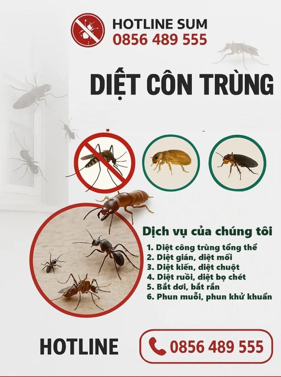 Dịch vụ diệt côn trùng ❤️ ❤️ ❤️ Gọi Hotline