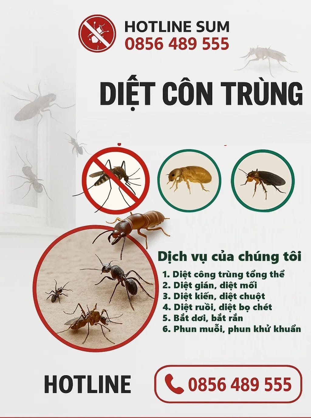 Dịch vụ diệt côn trùng ❤️ ❤️ ❤️ Gọi Hotline