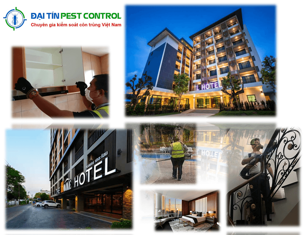 Việc phun thuốc muỗi cho khách sạn nhà hàng là rất quan trọng