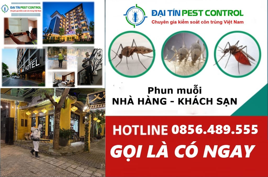 Phun thuốc muỗi cho khách sạn nhà hàng | Gọi ngay 0856 489 555