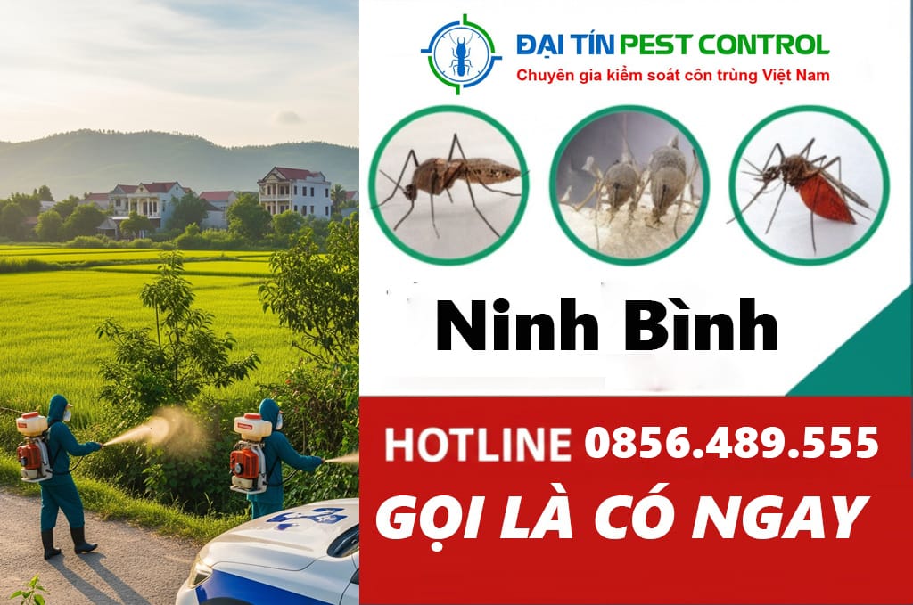 Thuê người phun thuốc muỗi ở Ninh Bình có đắt không?