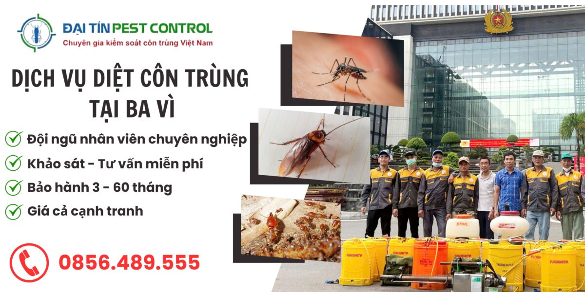 Dịch vụ diệt côn trùng tại Ba Vì