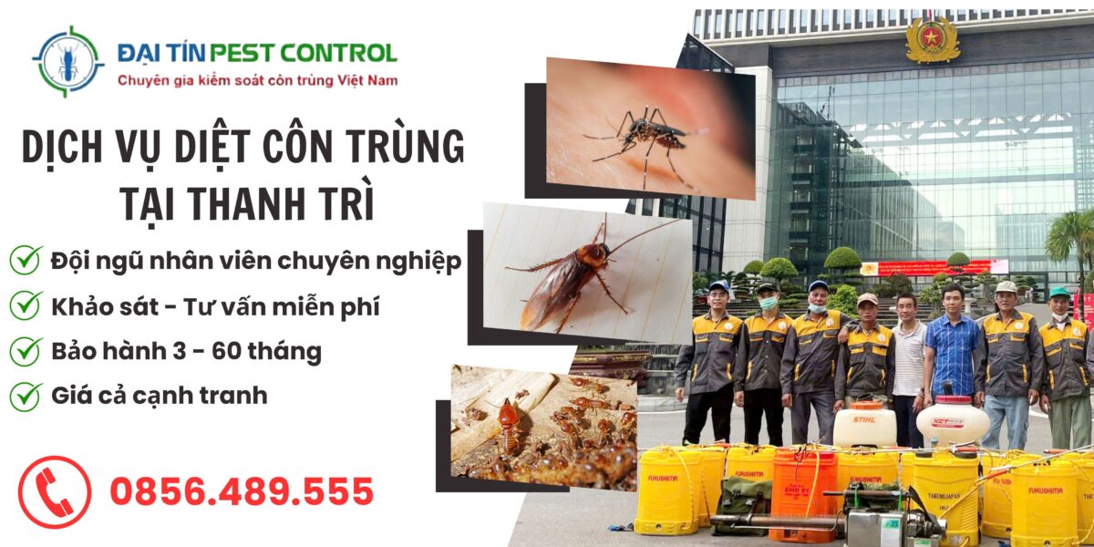 Dịch vụ diệt côn trùng tại Thanh Trì