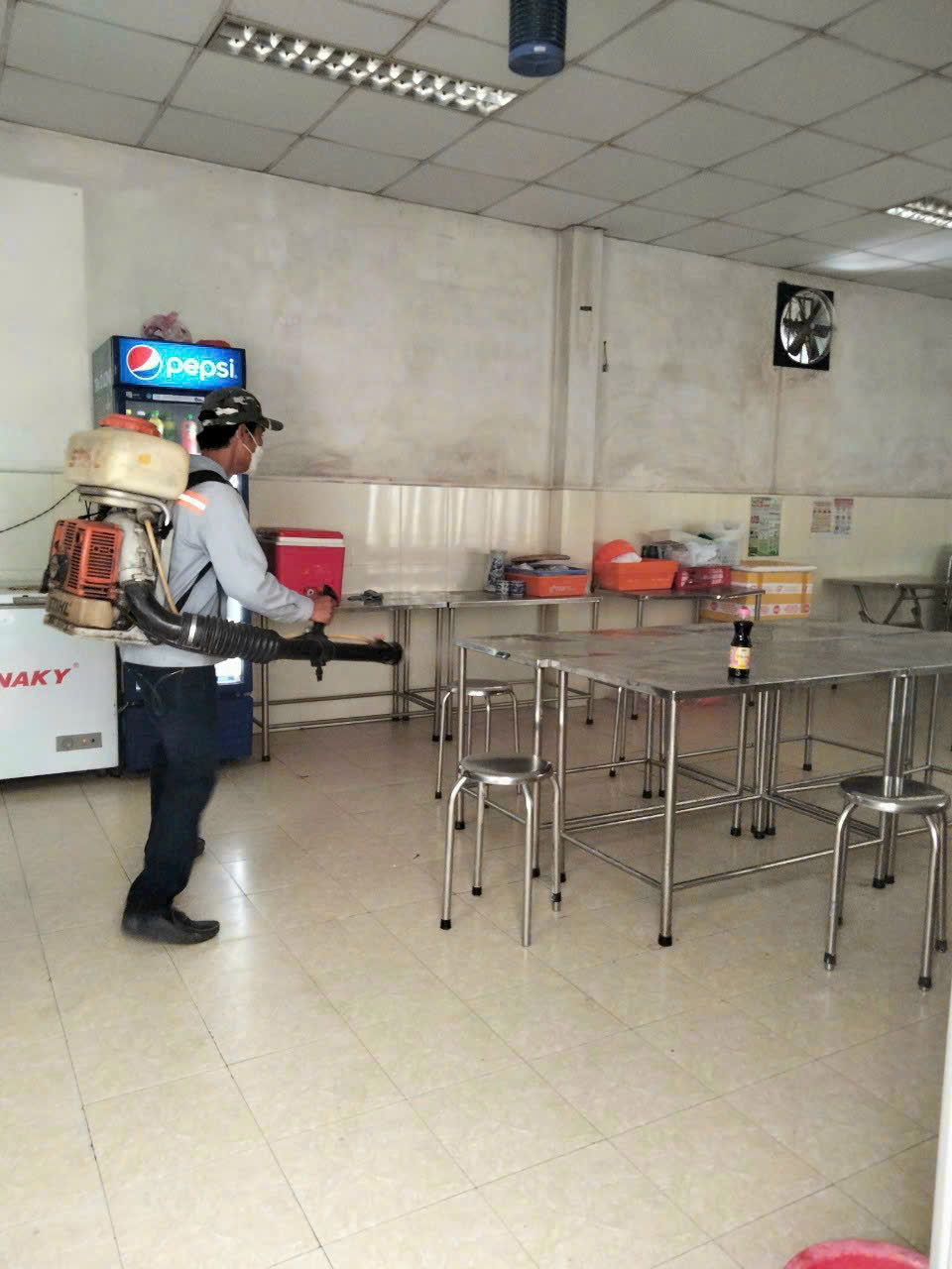 Dịch vụ phun thuốc ruồi muỗi tại Đông Anh chuyên nghiệp